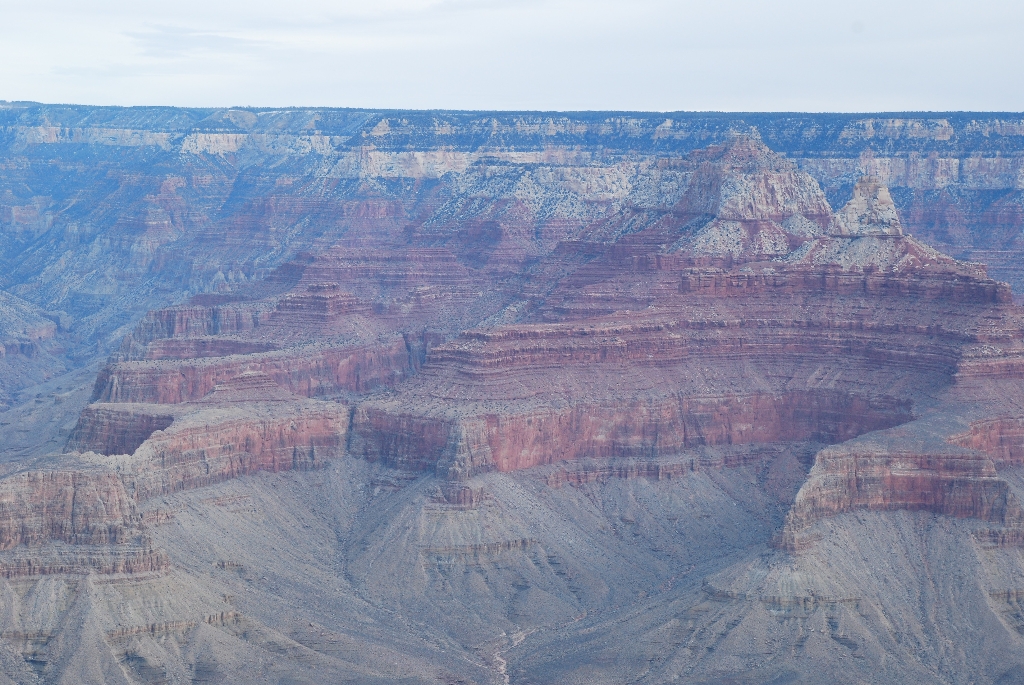 DSC_1596.JPG